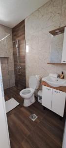 ein Bad mit einem WC, einer Dusche und einem Waschbecken in der Unterkunft Villa Sofijana in Ohrid