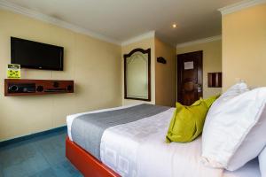 1 dormitorio con 1 cama y TV en la pared en Lavid Hotel Palacio Real en Bogotá