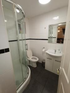 a bathroom with a shower and a toilet and a sink at Argyll Studio Apartment - Luton Airport in Luton