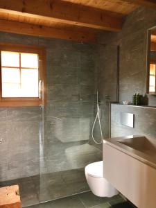 貝特默阿爾卑的住宿－Chalet Sirius Dachwohnung，带淋浴、卫生间和盥洗盆的浴室