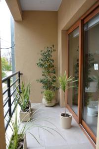 a balcony with several potted plants on a building at Inti. in Saladillo