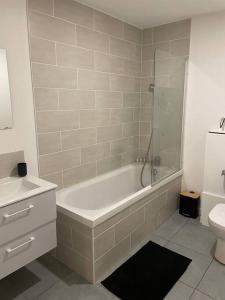 a bathroom with a shower and a tub and a toilet at Ô Calme ! Logement Rénové à Neuf - Une Expérience Unique - Wifi Gratuit in Grenoble