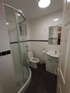 uma casa de banho com um chuveiro, um WC e um lavatório. em Argyll Studio Apartment - Luton Airport em Luton