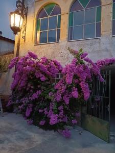 a bunch of purple flowers hanging on a fence at Corte Averaldo in San Felice del Benaco
