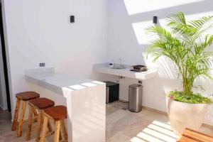 a kitchen with a counter and stools and a plant at Stayon5a Av penthouse with PrivatePool in Playa del Carmen