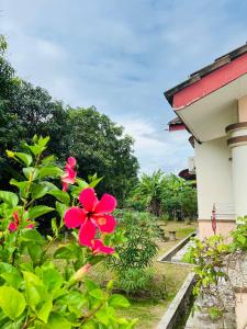 a red flower in front of a building at Sofea Homestay Ipoh in Ipoh