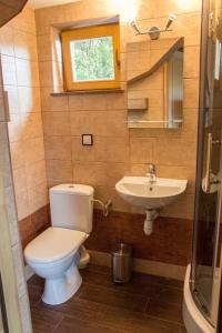 a bathroom with a toilet and a sink at Domek góralski u Felusia in Szczawnica