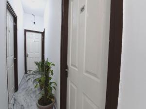 a hallway with a door and a potted plant at OYO Ooak Hotels Delta 1 in Greater Noida