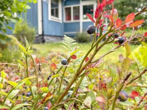 Zahrada ubytování 4 star holiday home in KARLSHAMN-By Traum