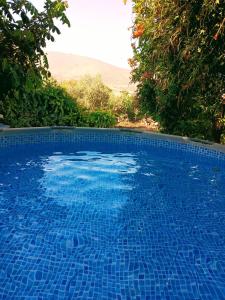 a blue swimming pool with trees in the background at Tafat's Haven Lodge in Nurit