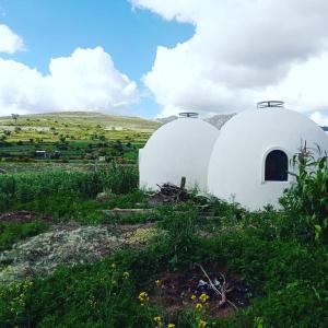 Deux dômes blancs dans un champ avec une colline dans l'établissement Hostal Samary Wasi, à Estancia Chaunaca