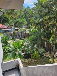 a view of a garden from the balcony of a house at RIVERSIDE PALM INN SG LEMBING in Sungai Lembing