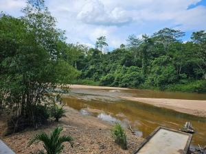 a river with trees on the side of it at RIVERSIDE PALM INN SG LEMBING in Sungai Lembing