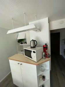 拉波勒的住宿－Appartement La Baule - Plage Benoît，厨房在柜台上配有微波炉