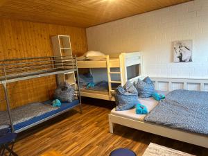 Cette chambre comprend 2 lits superposés dotés d'oreillers bleus. dans l'établissement FeWo im Reit- und Ponyparadies Roos, à Halle