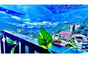 a green leaf sitting on top of a balcony at Hotel Ricasa By Swipe Group in Gangtok