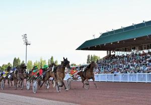 een groep paarden die racen op een renbaan bij T2 - Résidence Plein Sud in Cabourg