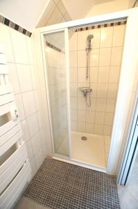 een douche met een glazen deur in de badkamer bij Le paradis des ecureuils 