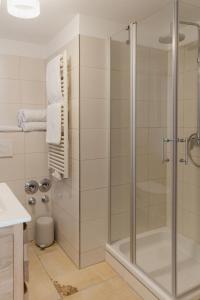 a bathroom with a shower with a glass door at Ferienwohnung Weidenbach in Weidenbach