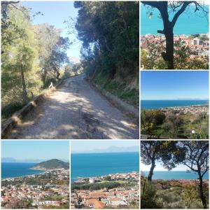 uma colagem de fotos de uma estrada de terra com uma árvore em Dimora Acqua del Fico em Castellabate