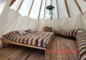 2 camas en una habitación en una tienda de campaña en Glamping Wild Nature Bałtów en Bałtów