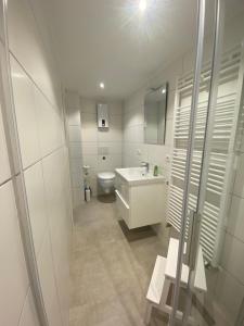 La salle de bains blanche est pourvue de toilettes et d'un lavabo. dans l'établissement Scheunentraum Brenig, à Bornheim
