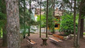 a group of benches in a park with trees at DAH BOROVA - BANJA TOPILO in Banja Topilo