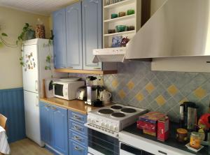 a kitchen with blue cabinets and a stove top oven at Vintage 50's in Lahti