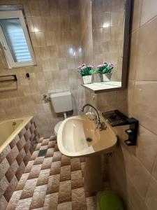 Koupelna v ubytování Apartmani Ira
