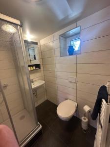 ein Bad mit einer Dusche, einem WC und einem Waschbecken in der Unterkunft Monteurshaus im Leipziger Süde nähe A38 in Leipzig