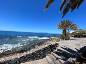 a beach with a palm tree and the ocean at Rustic apartment close to the beach of Alcalá! in Alcalá