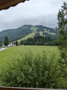 um grande campo verde com uma montanha ao fundo em Schroider em Kössen