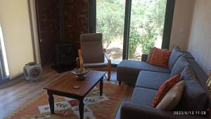 Semiramis Urla Guesthouse في أورلا: غرفة معيشة مع أريكة وطاولة قهوة