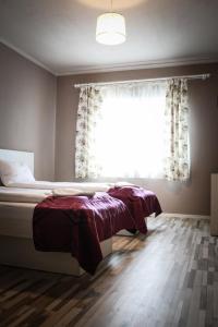 Fotografie z fotogalerie ubytování Pensiunea Oxana v destinaci Lipova