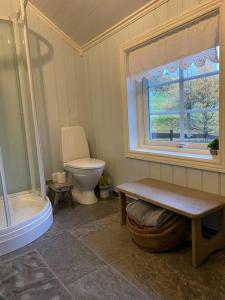 a bathroom with a toilet and a window and a tub at The Olav-house from 1840, at farm Ellingbø in Vang I Valdres