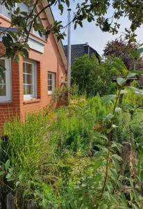 einen Garten mit Pflanzen vor einem Haus in der Unterkunft Gemütliche Ferienwohnung in Potsdam