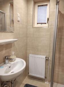un baño con lavabo y ducha en Gästehaus Harzklause 1, en Sieber