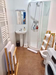 La salle de bains est pourvue d'une douche, d'un lavabo et de toilettes. dans l'établissement Le Peyragudes - Rue de la Grotte - 36m, à Lourdes
