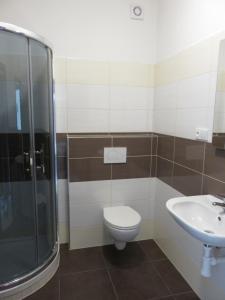y baño con aseo y lavamanos. en Penzion U Dulíka en Veselí nad Moravou
