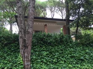 Foto dalla galleria di Villaggio Arco a Eraclea Mare