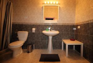 een badkamer met een wastafel, een toilet en een spiegel bij Petra Bed & Breakfast in Wadi Musa