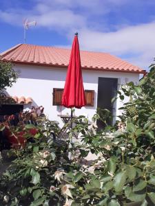 czerwony parasol siedzący przed domem w obiekcie Casa do Terreto & Casa do Forno w mieście Parada