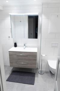 a bathroom with a sink and a mirror and a toilet at 5 minutes to downtown Arendal in Arendal