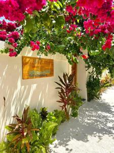 Une bande de fleurs roses sur un mur blanc dans l'établissement Balma Beach Inn, à Faafu