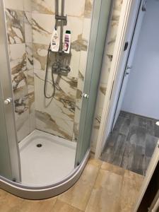 a shower with a glass door in a bathroom at Apartman Utrine 1 in Zagreb