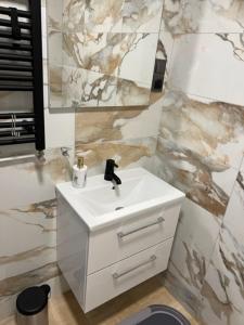a bathroom with a white sink and a mirror at Apartman Utrine 1 in Zagreb