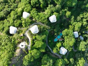 an overhead view of a road in the forest at Suitree Experience Hotel in Guanacaste