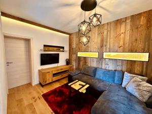 TV a/nebo společenská místnost v ubytování Apartment Weingartenblick - Glanzerhof