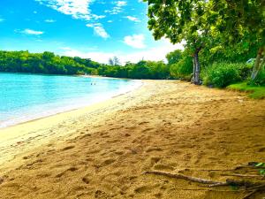 a sandy beach with trees and the water at Sand and Tan Beach Hotel in Ocho Rios