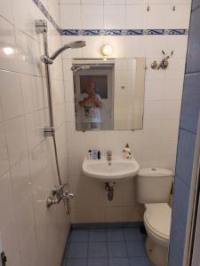 y baño con lavabo, aseo y espejo. en Studio Rositza, en Sofía